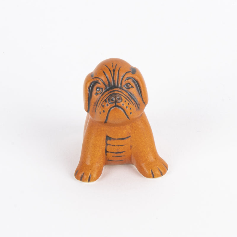 Boxer mini