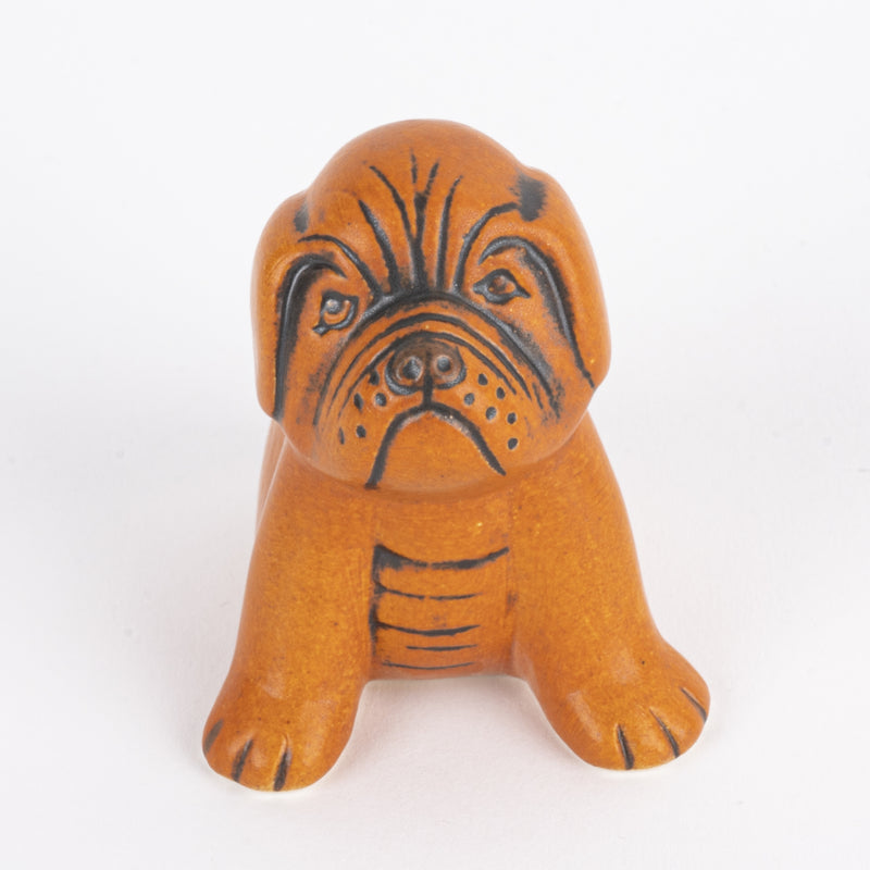 Boxer mini