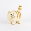 更多（棕色條紋）