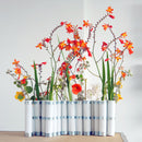 四月花瓶（瓷白色）