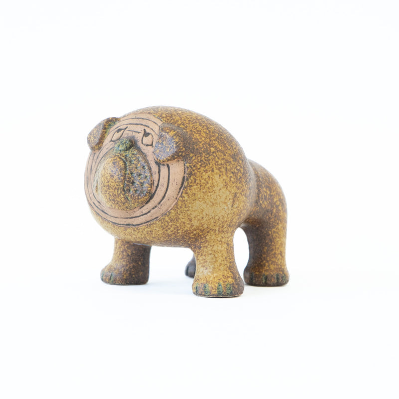 KENNEL Bulldog