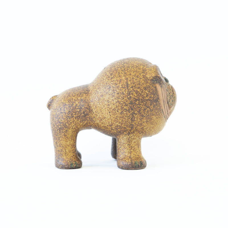 KENNEL Bulldog
