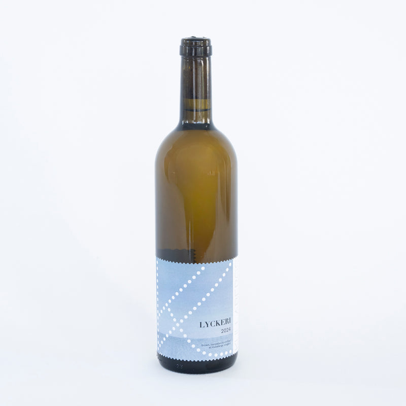 Lyckeri 2023 (Sketched Cats)