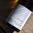 Lyckeri 2023 (Sketched Cats)