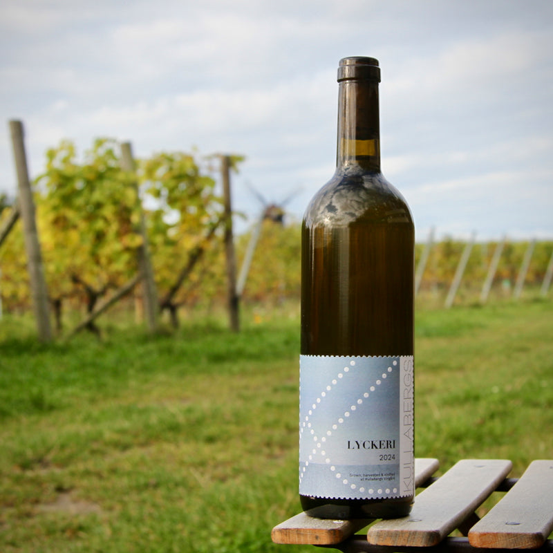 Lyckeri 2023 (Sketched Cats)