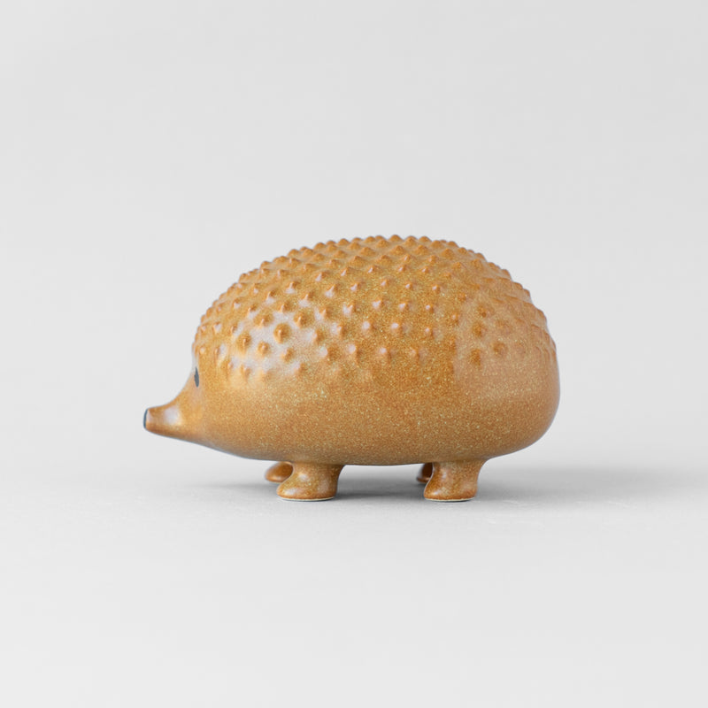 Nippon's hedgehog. (tea)