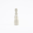 Skansen Fjallhare（兔子）