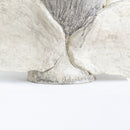 Aurora (オーロラ)