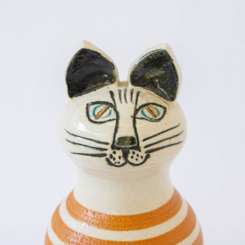 Trapp cat