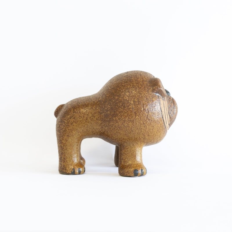KENNEL Bulldog