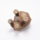 犬內鬥牛犬（第1號）