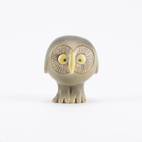 Swedish forest gray owl