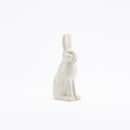 Skansen Fjallhare（兔子）