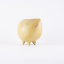 斯托拉動物園牛