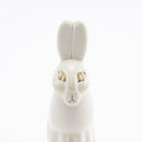 Skansen Fjallhare（兔子）