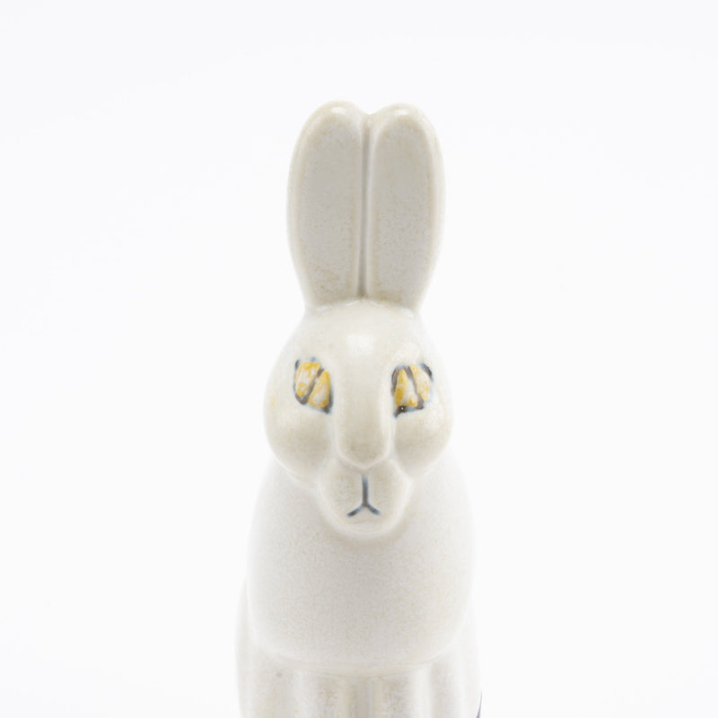 Skansen fjallhare (rabbit)