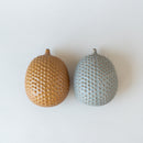 日本的刺猬。 2屍體