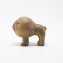 犬內鬥牛犬（第5號）