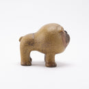 犬內鬥牛犬（第5號）