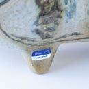 斯托拉動物園貓站立