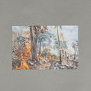 Postcard set (with clear file)