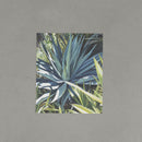 Postcard set (with clear file)