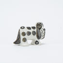 狗窩西班牙獵狗發現了2025年1月