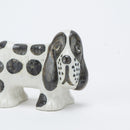 狗窩西班牙獵狗發現了2025年1月