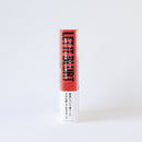 “萊斯特爆炸傳奇的搖滾評論家，那個言語和生活”