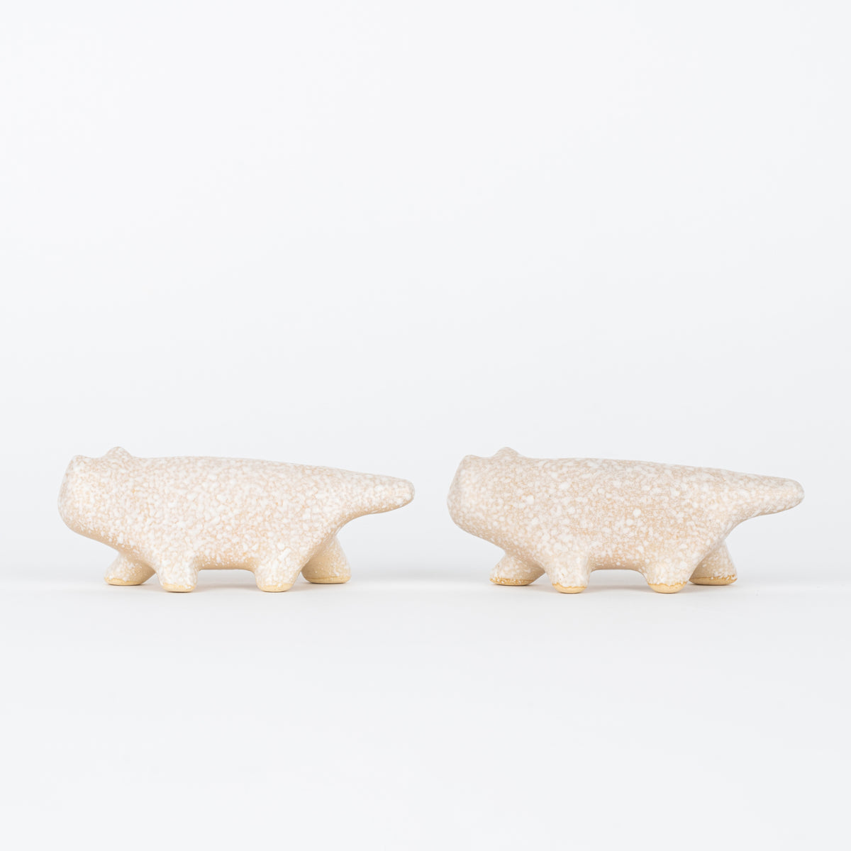 にっぽんのリサ猫（七番、萩）小雪