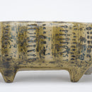 斯托拉動物園貓站立