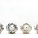 はりねずみのハリー