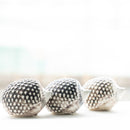 はりねずみのハリー