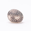 はりねずみのハリー