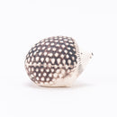 はりねずみのハリー