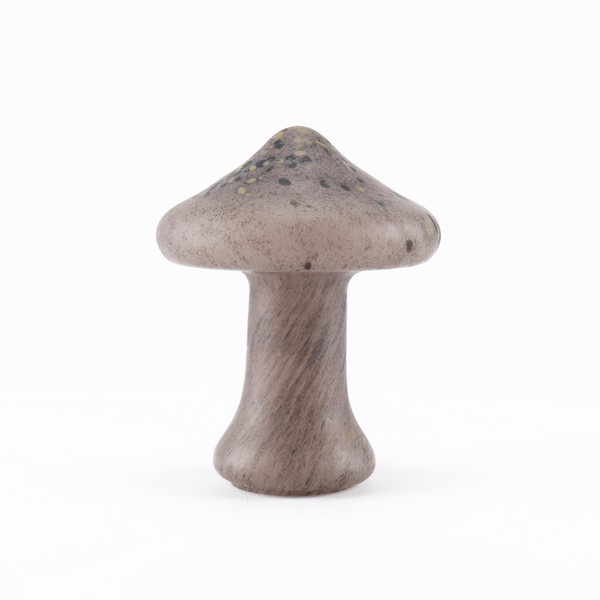 【Mushroom】Fjällskivling