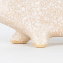 にっぽんのリサ猫（七番、萩）小雪