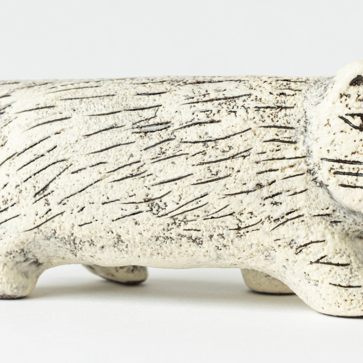 にっぽんのリサ猫（五番、丹波）きりしろ