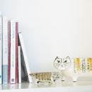 來自日本的麗莎貓（首先，Mashiko）