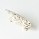 日本的丽莎猫（五号、丹波）雾白