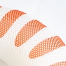 バスピロー（マイキー）