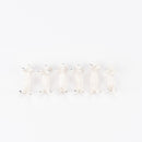 筷子休息（鬥牛犬Pecchi）