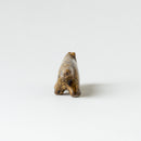 日本的丽莎猫（六号、丹波）土昌