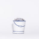 バケツの植木鉢（単体植え・クリスペートビューティー）(seto)