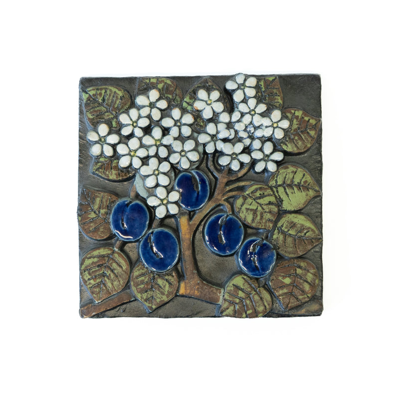 Paron Pomona (Pear Pear Plate) Shiga