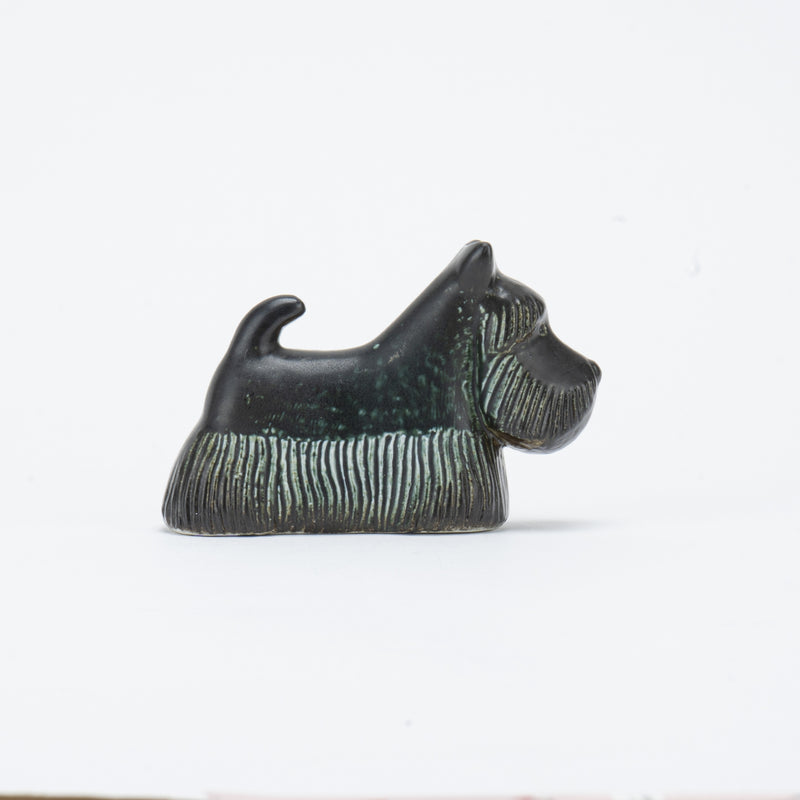 KENNEL Skotte