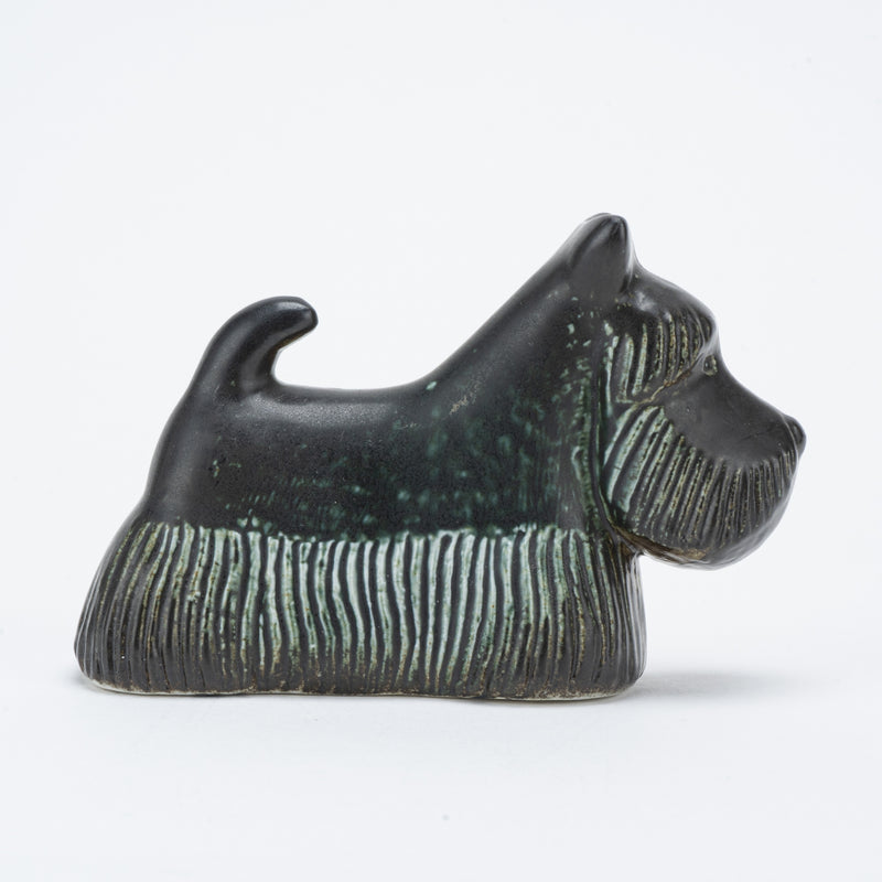 KENNEL Skotte