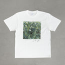 T -shirt (fern white)