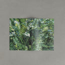 A5ノート(シダ・L’origine du monde)