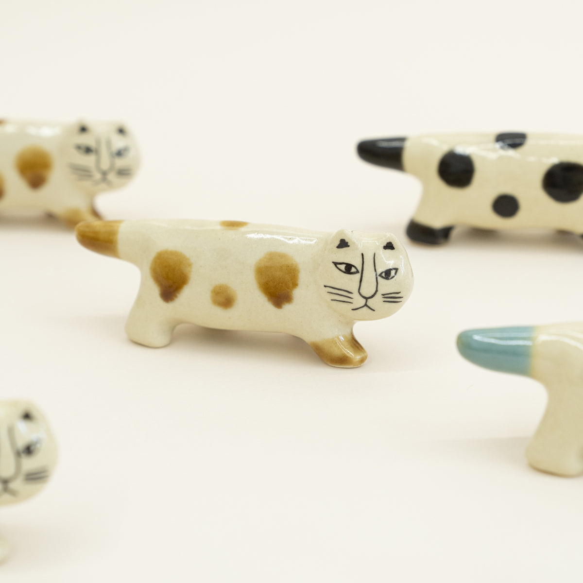 にっぽんのリサ猫（三番、益子）